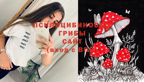герыч Арсеньев