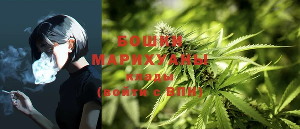 герыч Арсеньев