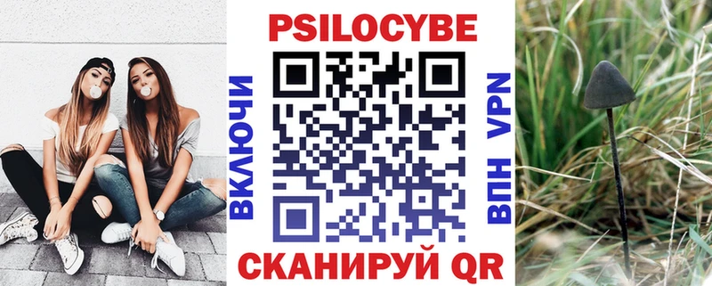 что такое   Камбарка  Галлюциногенные грибы мицелий 
